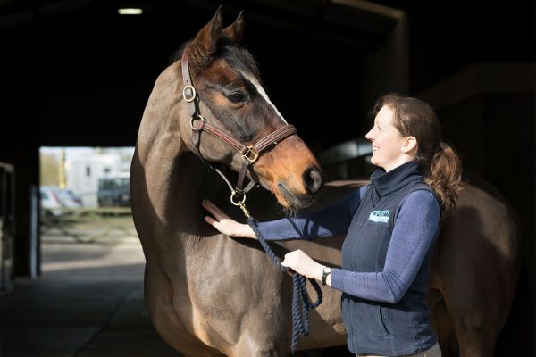 Hook Norton Veterinary Group