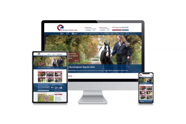 Buckingham Equine Vets - Website design