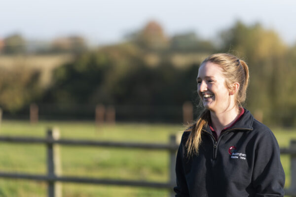 Veterinary Photography for Buckingham Equine Vets