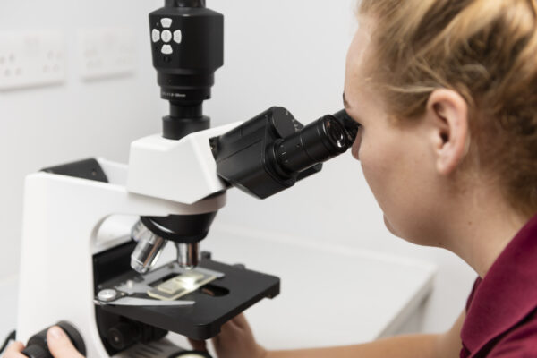 Veterinary Photography for Buckingham Equine Vets