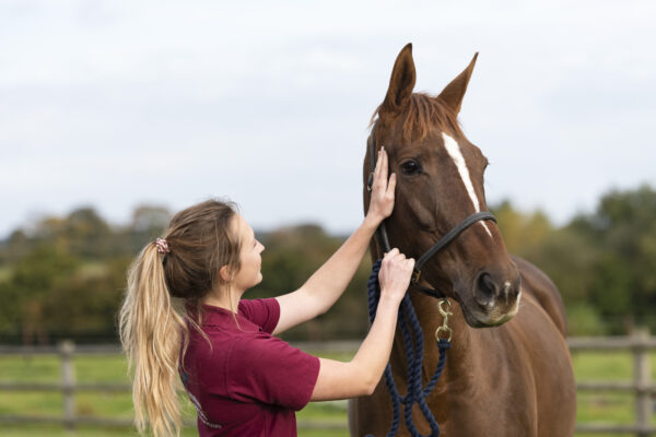Veterinary Photography for Buckingham Equine Vets