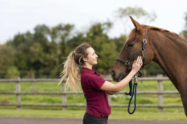 Veterinary Photography for Buckingham Equine Vets